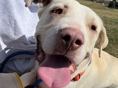 Hello my name is Daryl