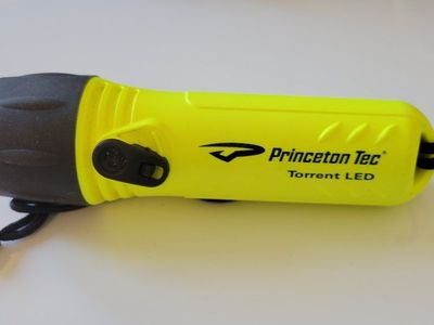 Princeton Tec Torrent LED
