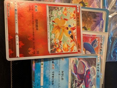 Pokémon TCG Bulk Holo Cards only Lot in Storage Box