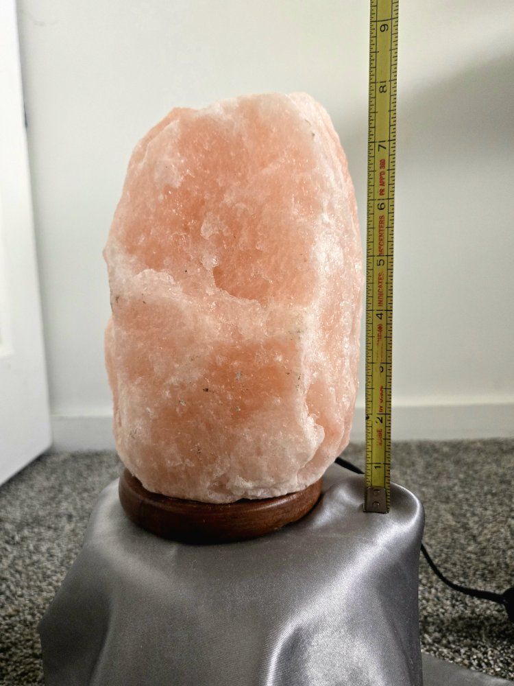 Main image 10