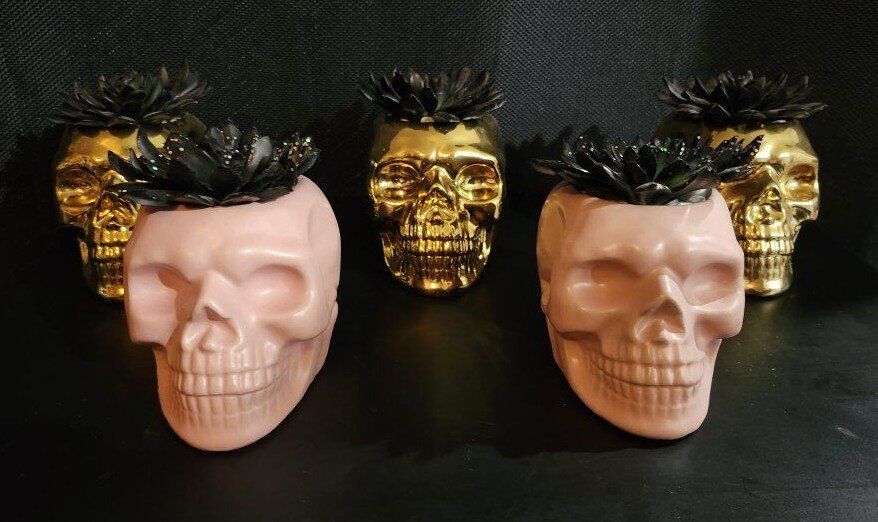 Metal Skull Air Plant Halloween Decor Pieces.