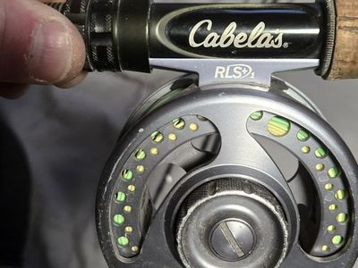 Cabelas 8' 6" RLS rod and reel