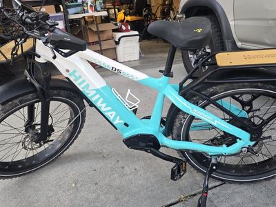 Himiway D5 Zebra Step-Thru Electric Fat Tire Bike - Teal & White