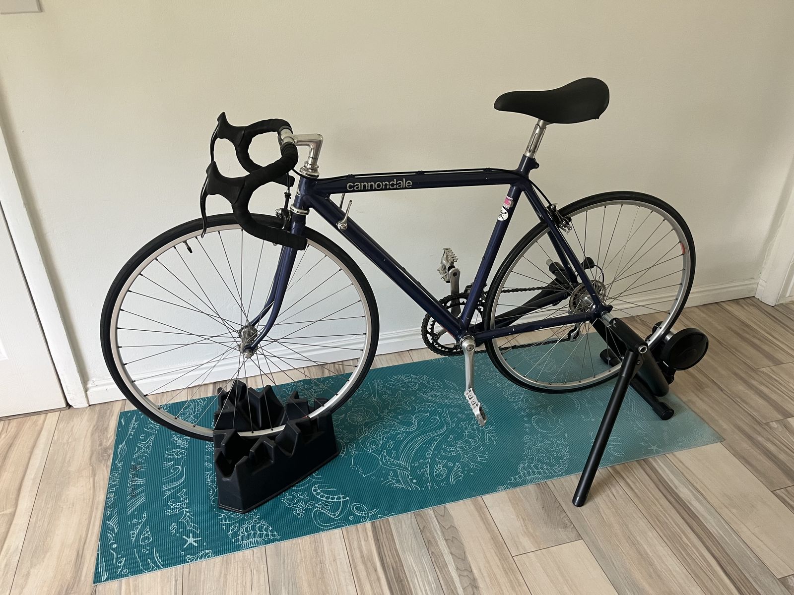 Road bike with Saris indoor trainer