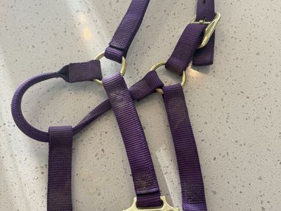 Yearling Halter/ Great Condition/ Lightly Used/