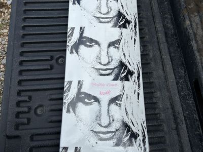 Welcome x Britney Spears 'Till The World Ends' Skateboard Deck New