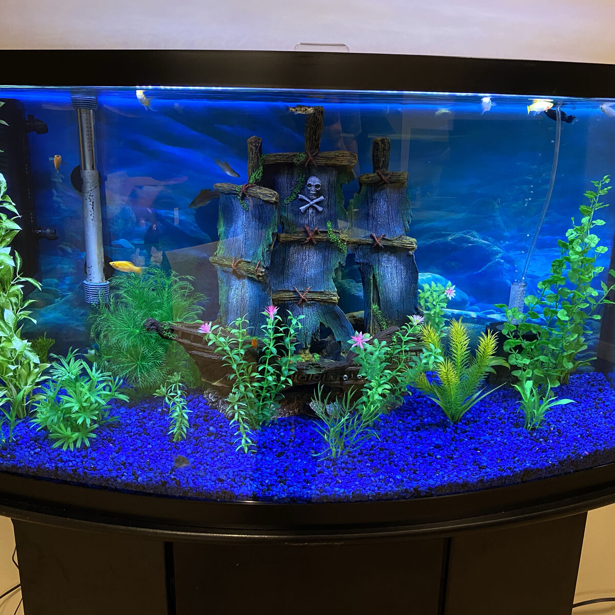 Fish Tank