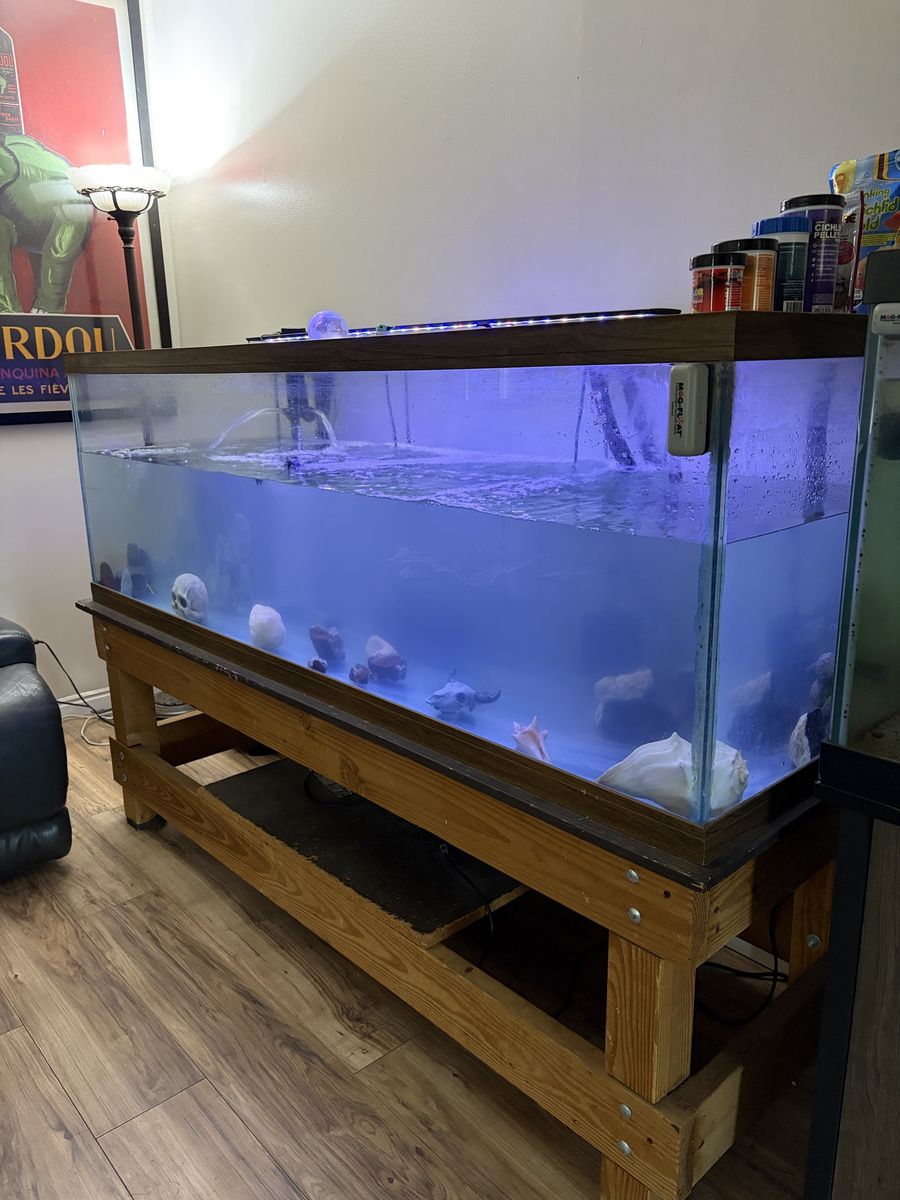 Fish Tank