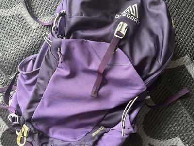 Gregory Backpack
