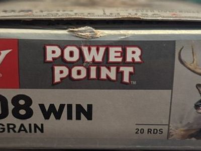 308 Win ammo