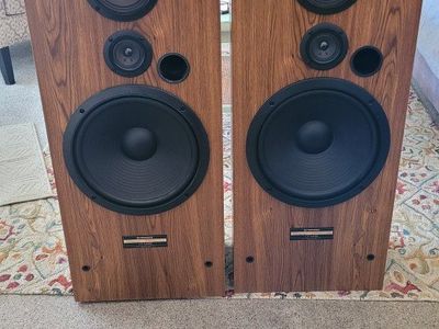 Pioneer CS-M555 speakers.