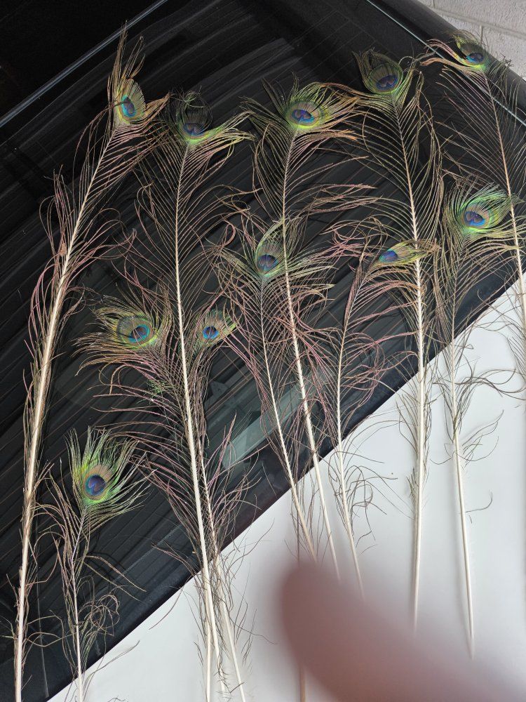 Main image 2