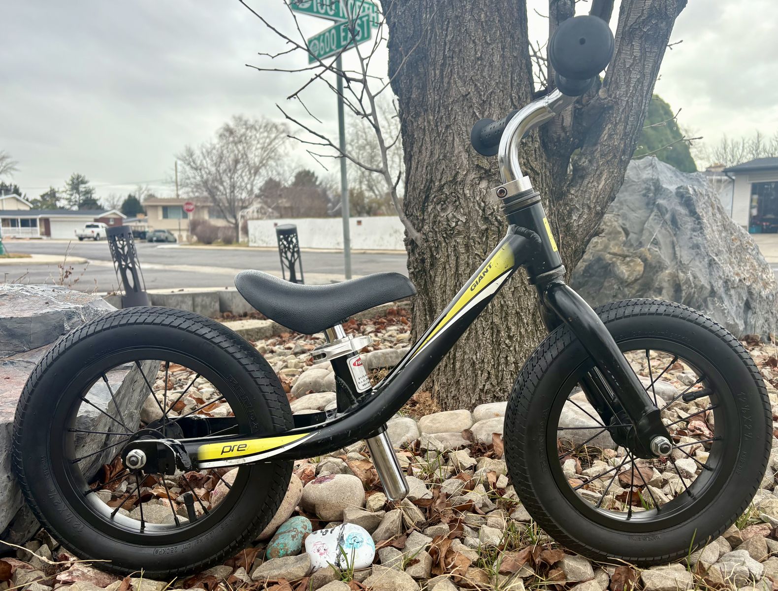12 Inch Giant Balance Bike Ready To Ride