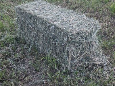 Alfalfa small bales