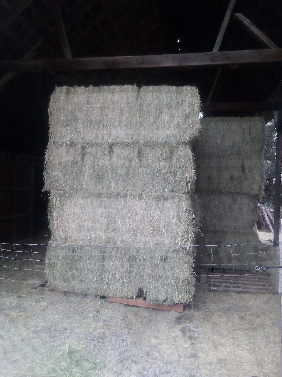 Alfalfa Bales - 3x4x8