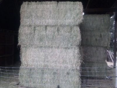 Alfalfa Bales - 3x4x8