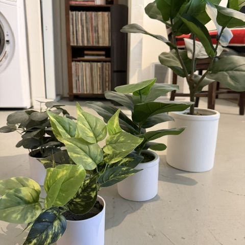 Plants! Artificial. Perfect condition.