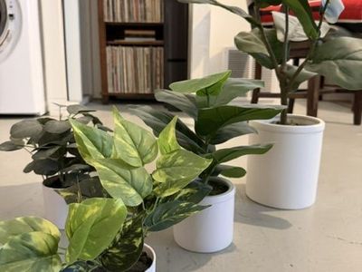 Plants! Artificial. Perfect condition.