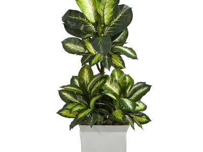 New Silk Plant, large, 46"