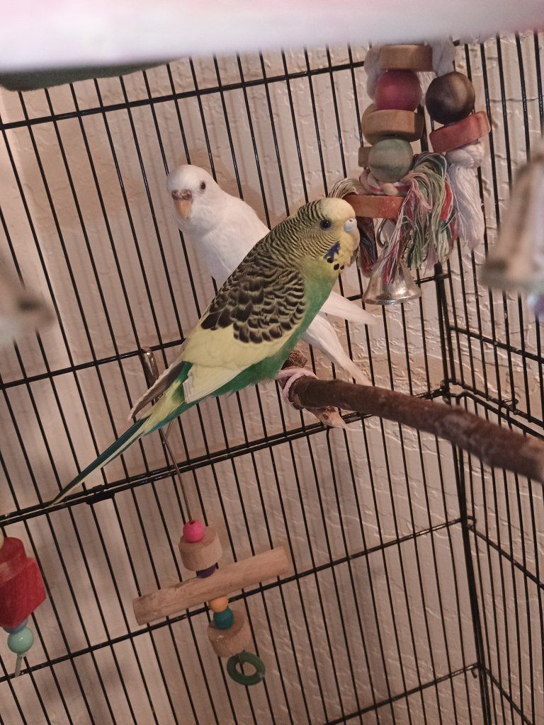 Main image 2