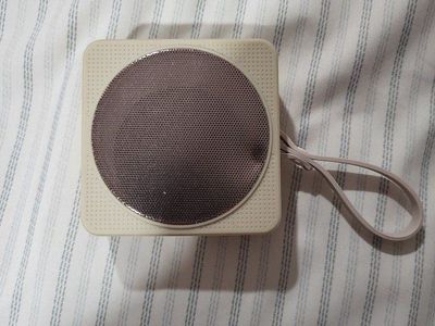 Little Bluetooth Speaker
