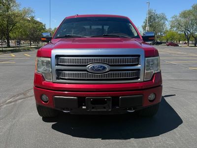 2010 FORD F150 Platinum
