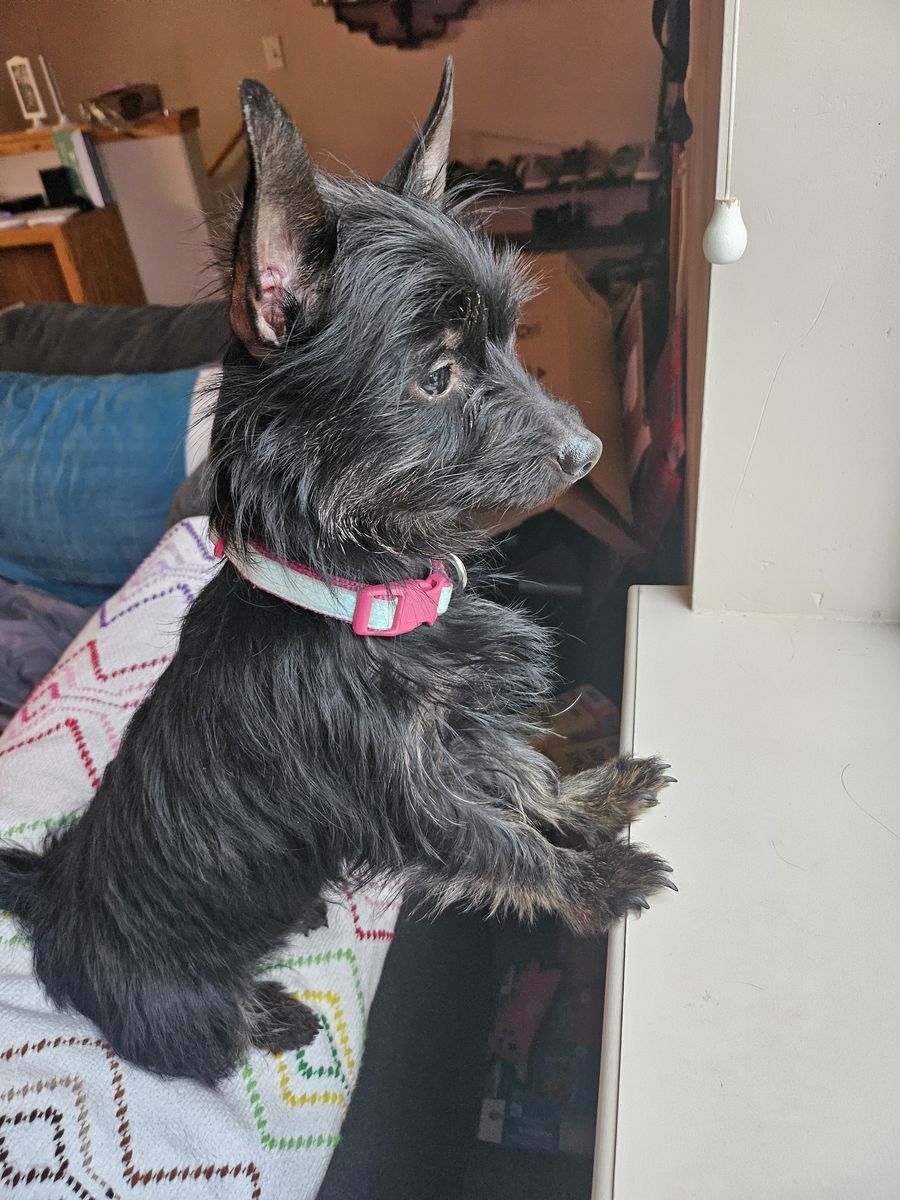 Looking for a forever home