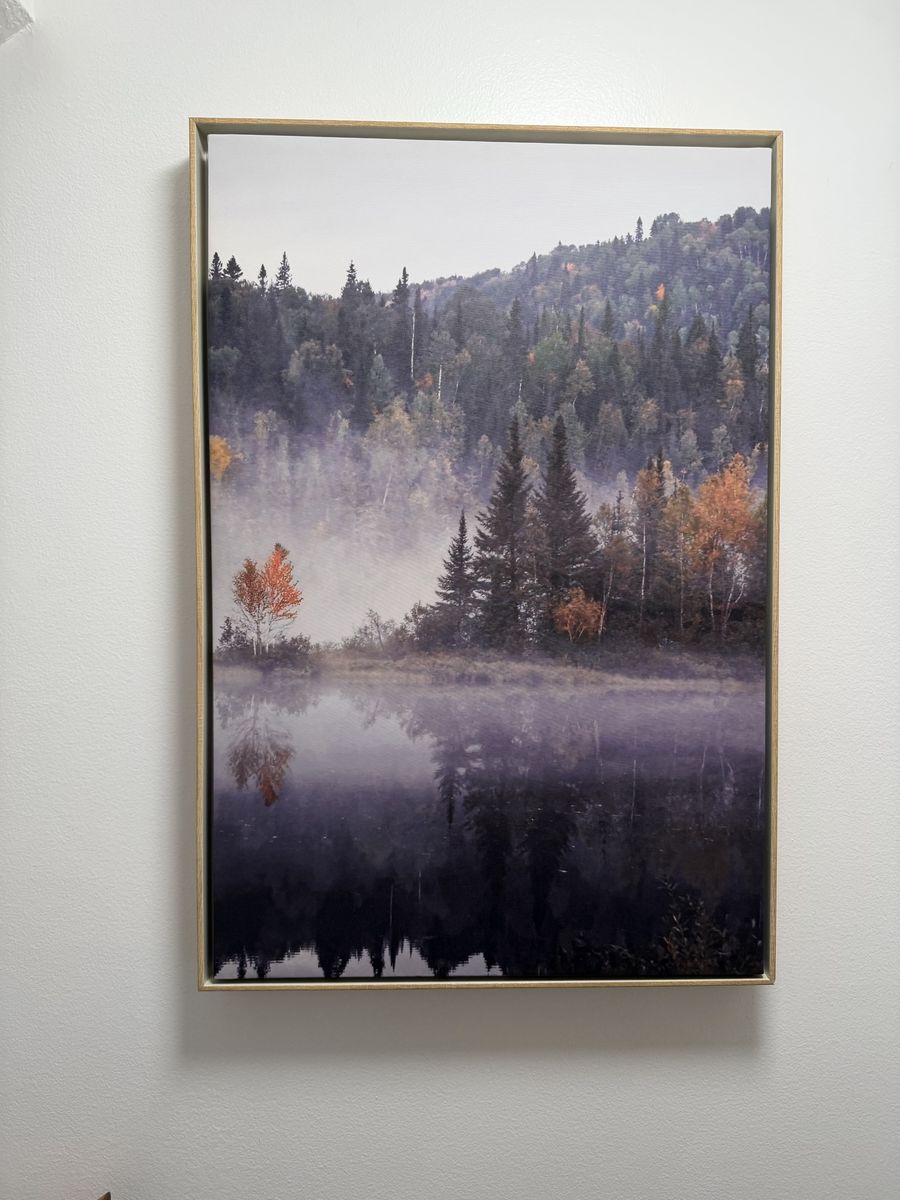 Framed Canvas Wall Art Misty Forest Lake Landscape Print