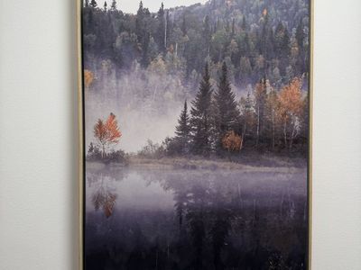Framed Canvas Wall Art Misty Forest Lake Landscape Print