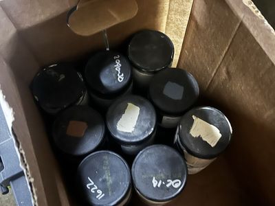 Paint Samples (19! Benjamin Moore)