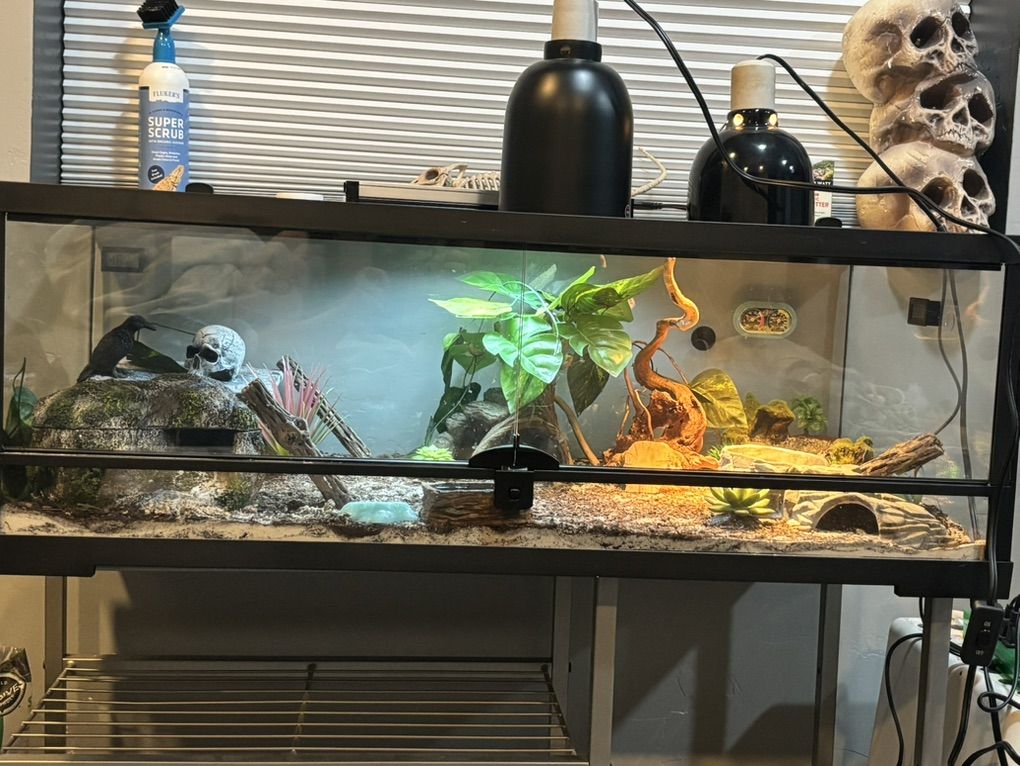 35Gallon Reptile Tank