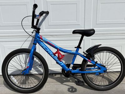 20 inch Schwinn Fenite bike