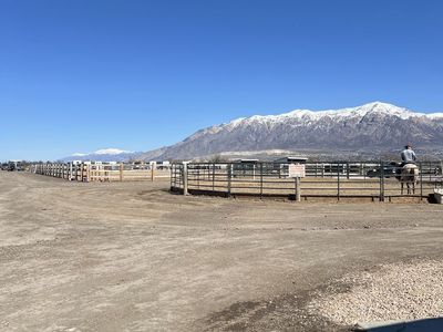 Horse Boarding