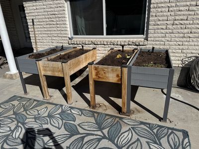 Self Watering Planter Boxes