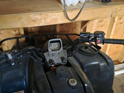 2003 Yamaha Big Bear 400