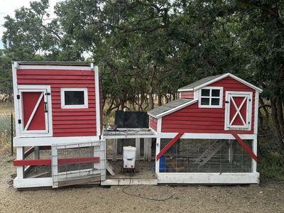 Big chicken coop