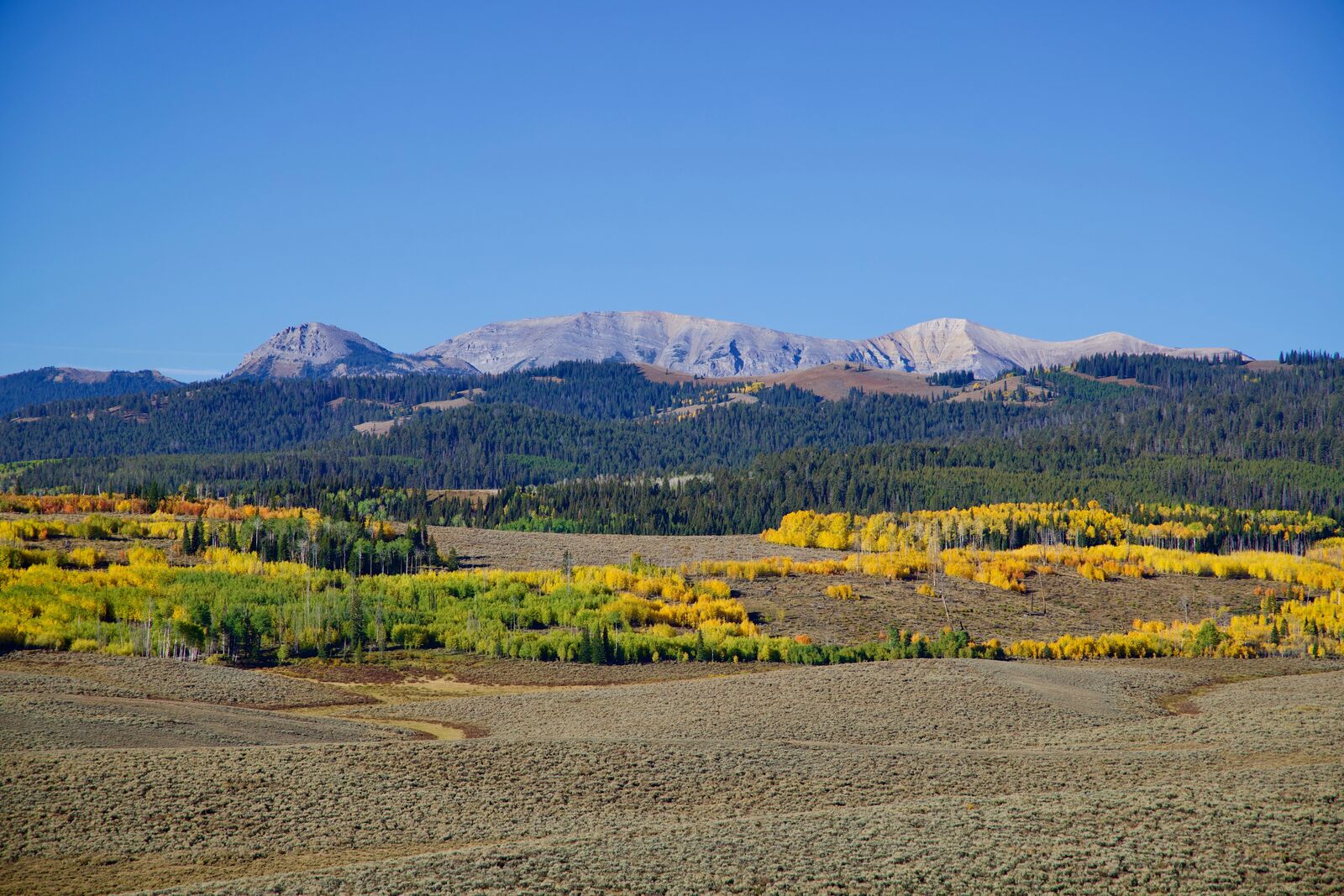 40 Acre Parcels for Sale by Owner