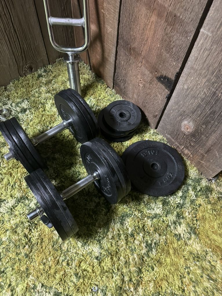 Dumbbells 1 Inch Plates