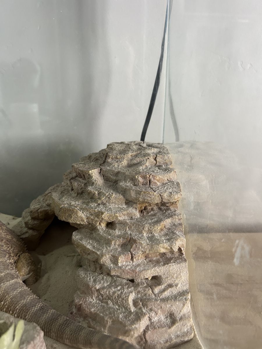 Main image 7