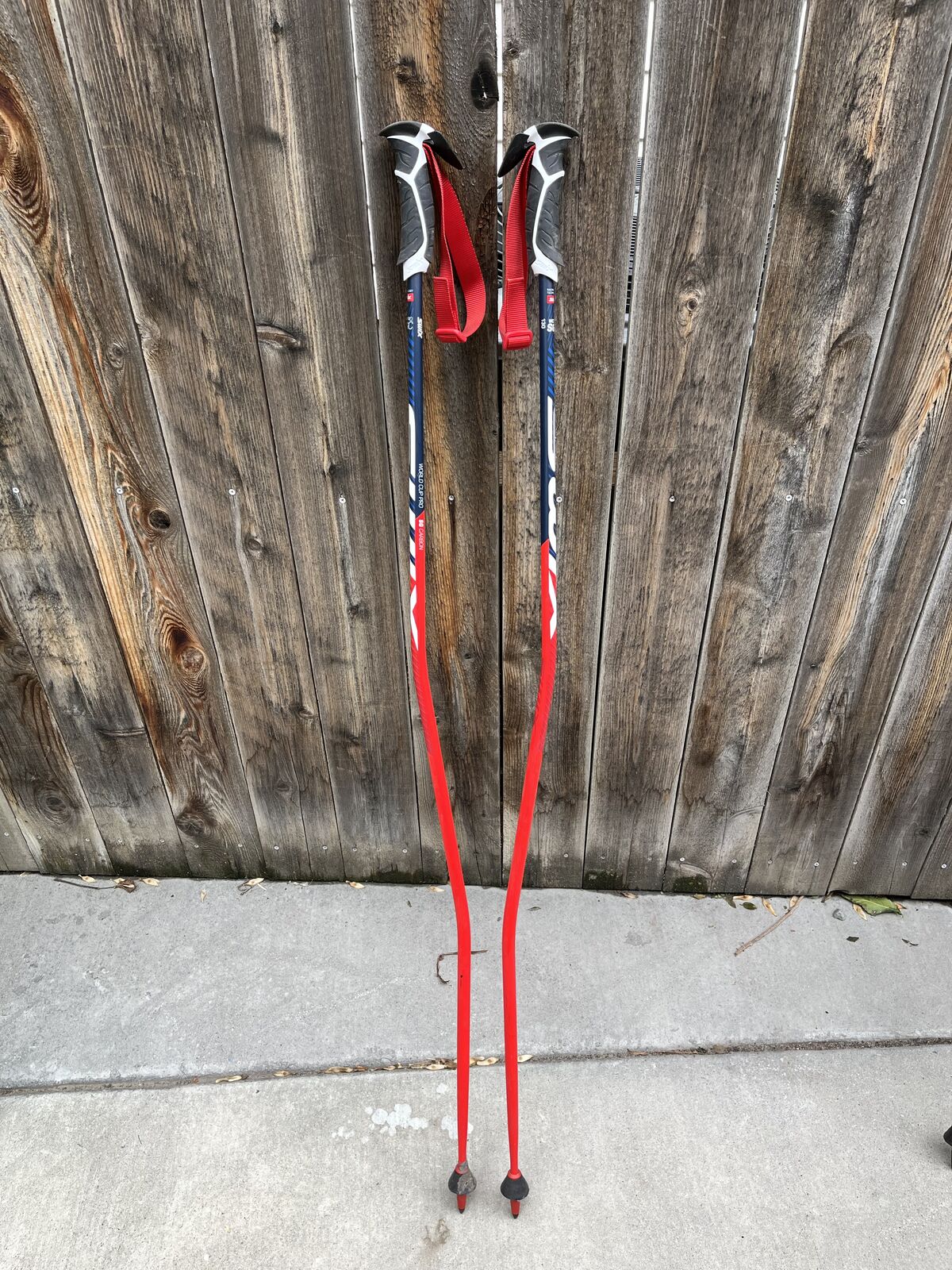 Swix Carbon Race Poles (GS)