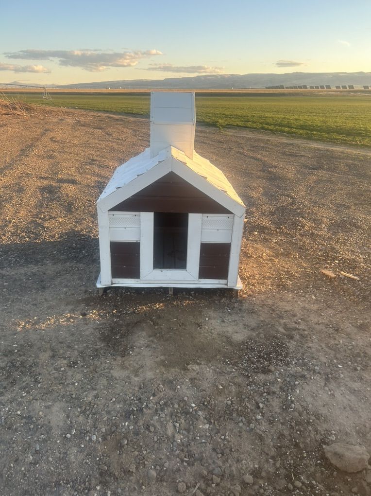 Large Dog House