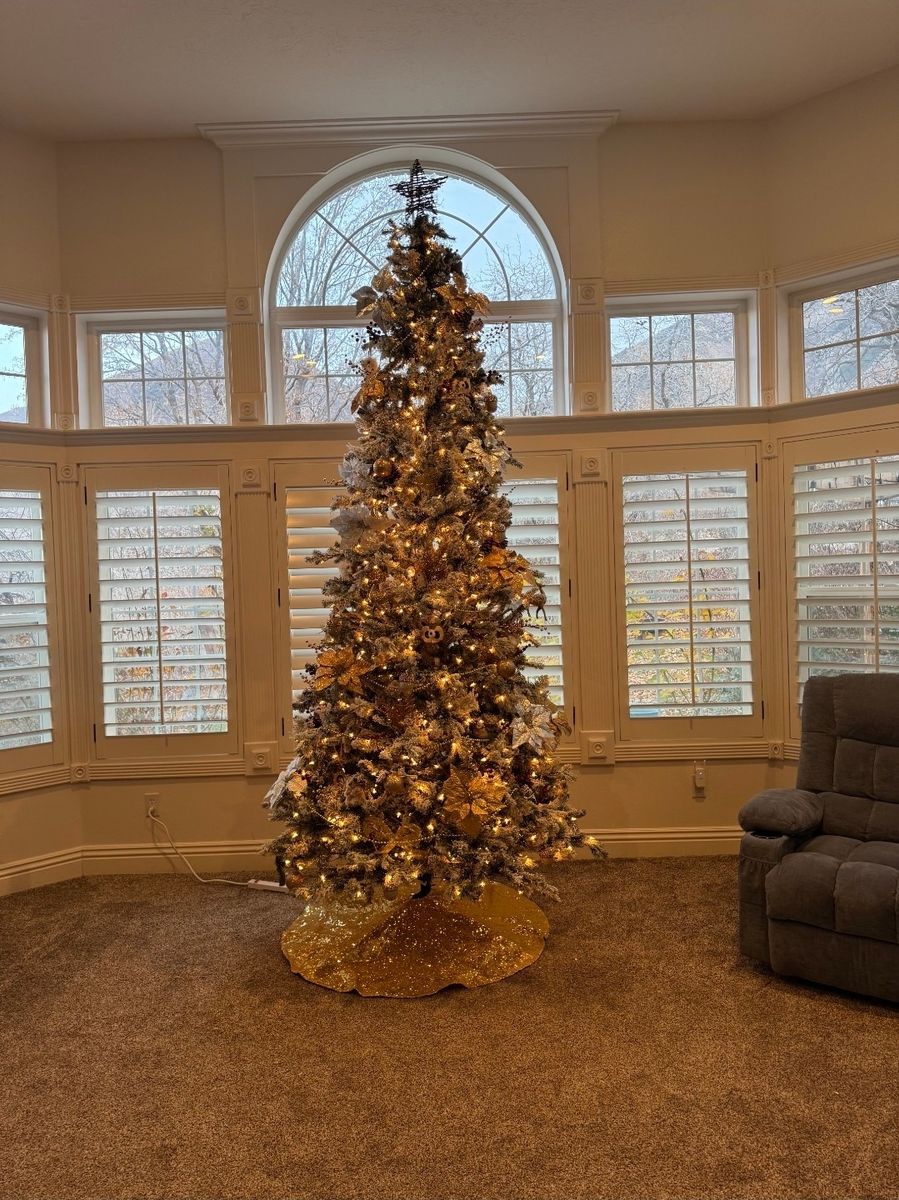 10 ft Pre Lit Christmas Tree
