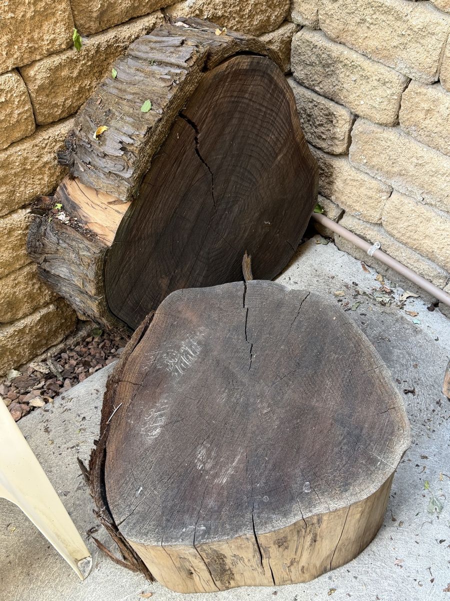 Hardwood tree trunk cookies, natural edge round slabs