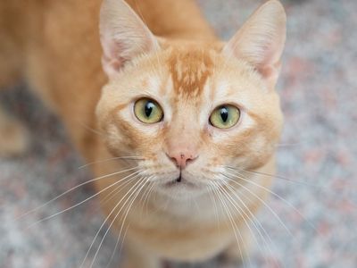 Hello my name is Brooks