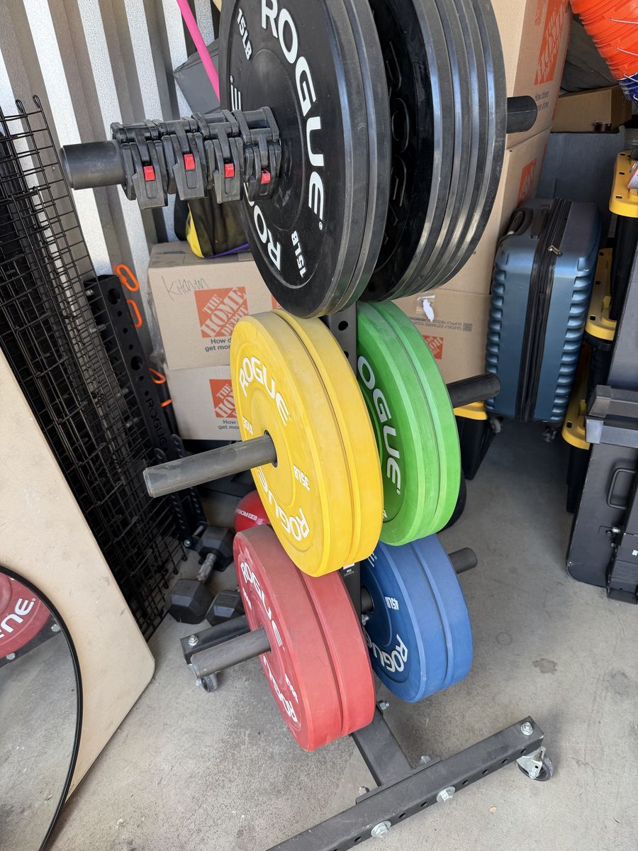 Gym Equipment- Rogue plates, barbells, box and few other items