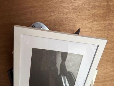 Assorted Picture Frames Lot - Mixed Sizes and Styles