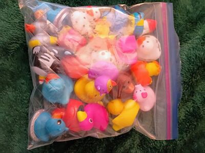 rubber duckies the bag