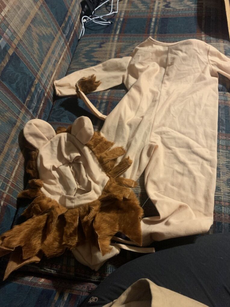 Lion Size 2-4 Halloween Costume