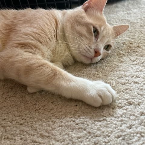 Hello my name is Bruce
