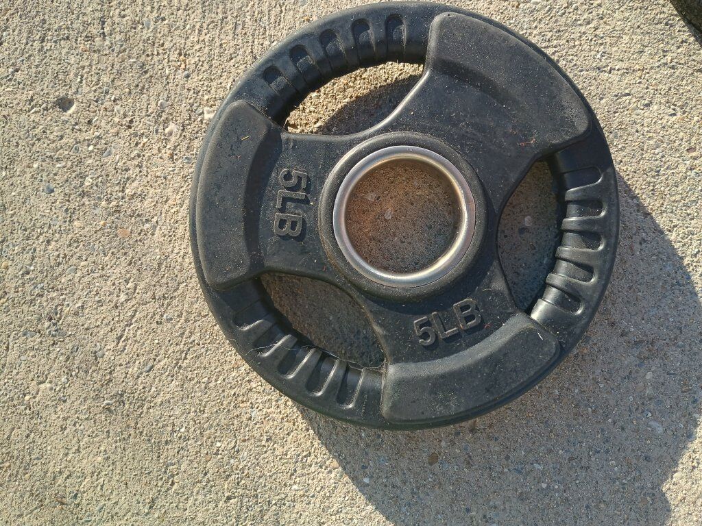 single 5lb weight plates